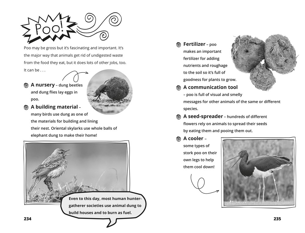 Hamza's Wild World - Signed Special Edition - Image 11