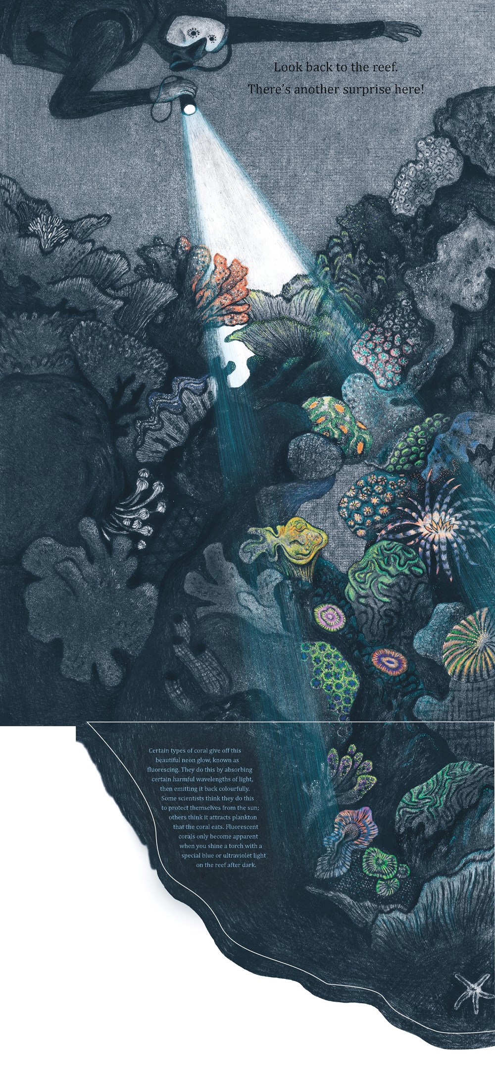Dive, Dive into the Night Sea - Image 3