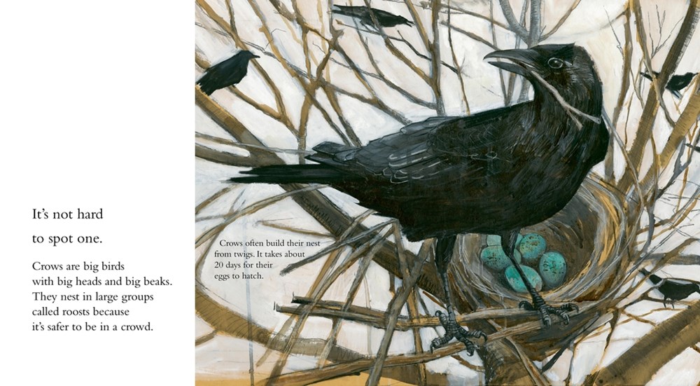 Clever Crow - Image 4