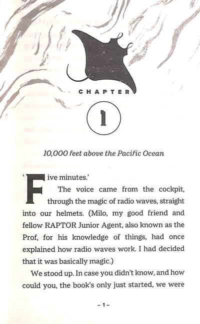 Mission Manta Ray - Image 2