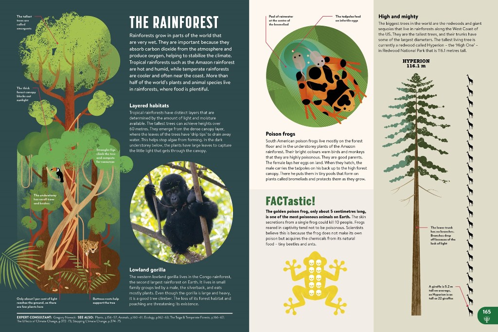 All New Children's Encyclopedia - Image 2