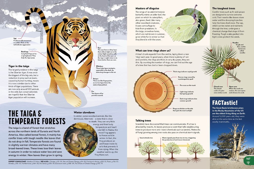All New Children's Encyclopedia - Image 3