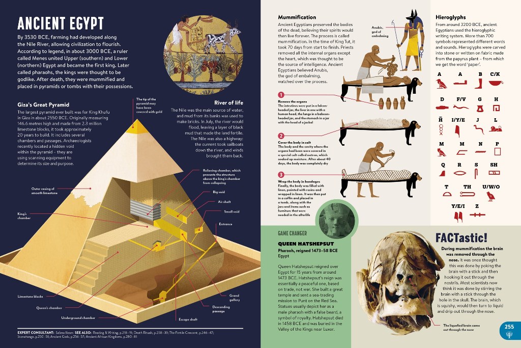 All New Children's Encyclopedia - Image 4